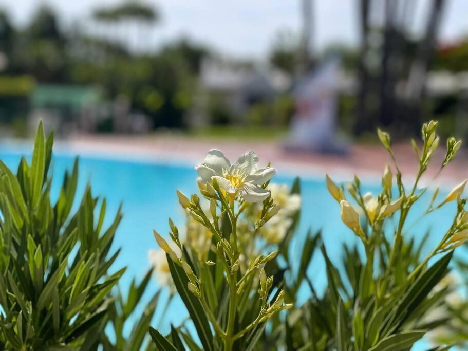 cozy&modern bungalow w/private garden bbq+wifi Maspalomas  Zewnętrze zdjęcie